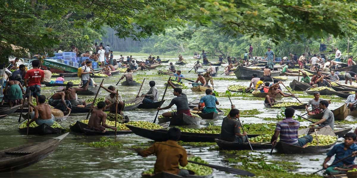 Floating Guava Market in Bangladesh